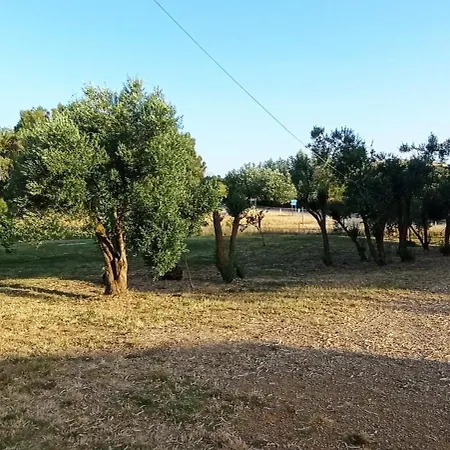 Il Giardino Del Sole *